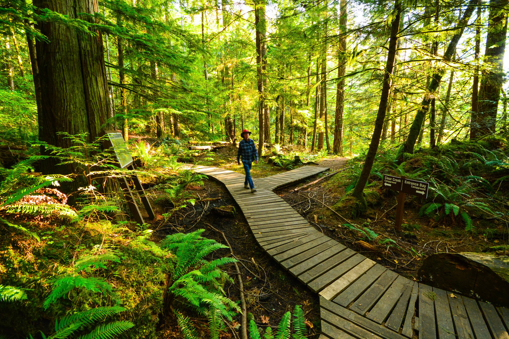 Travel Guide Through British Columbia