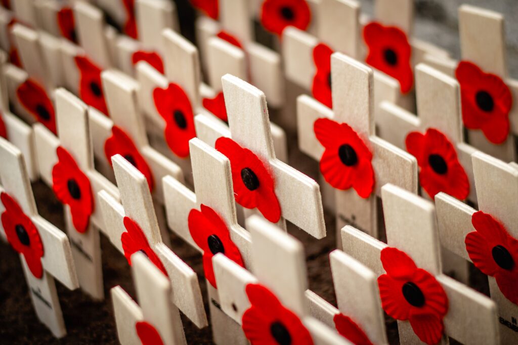 Crosses with red poppies on them.