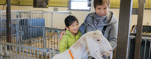 A photo of a child and grandmother looking at a goat at Ingenium's Canada Agriculture and Food Museum.