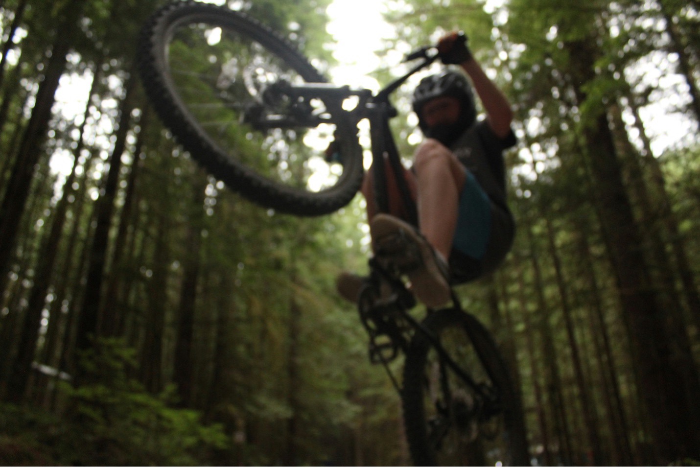 person riding a mountain bike in Stawamus Chief Park in Squamish, BC.