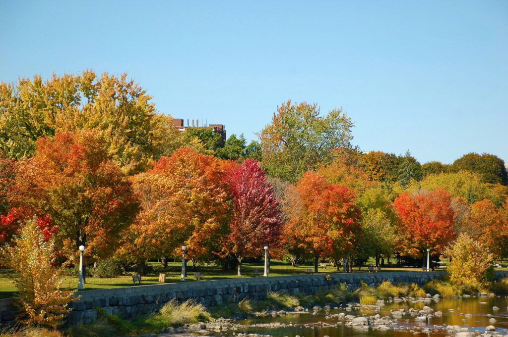 Greenbelt in Fall in Ottawa