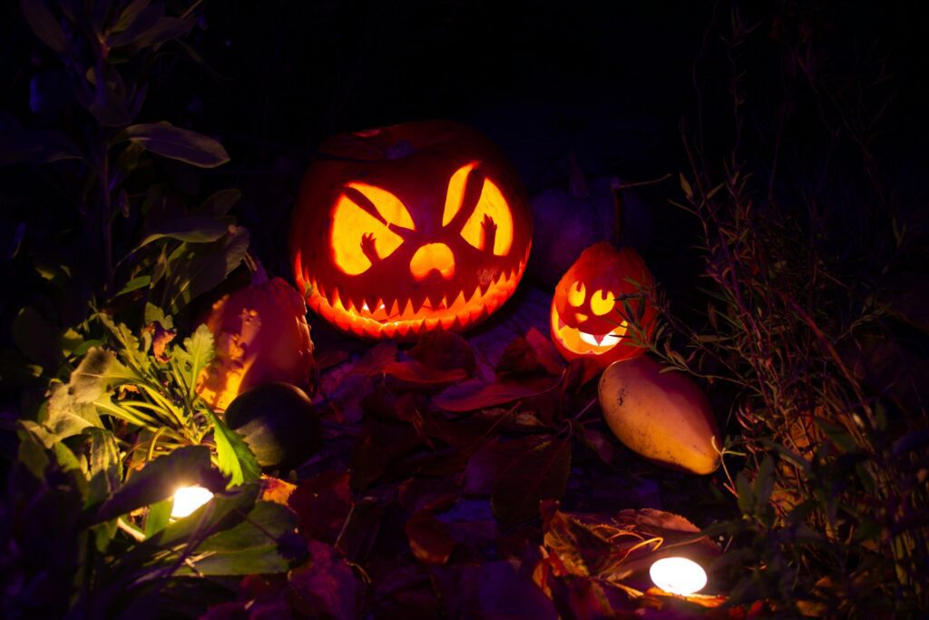 A couple of pumpkins sitting on top of a pile of leaves