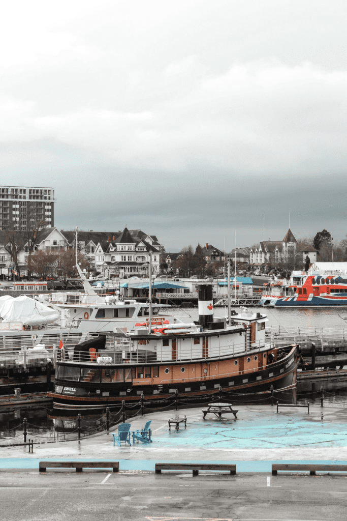 White and brown boat on dock during daytime