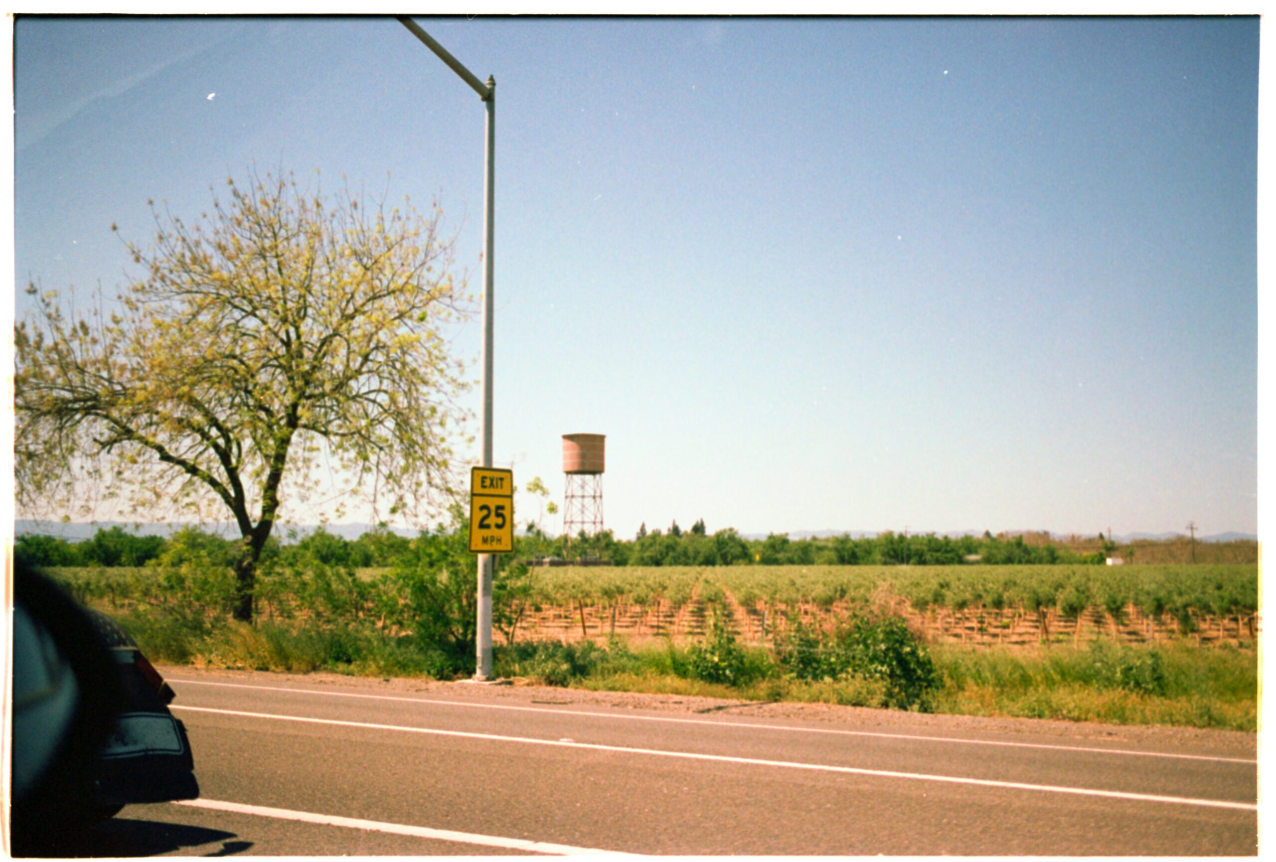 3 Ontario Weekend Road Trips That Actually Live Up to the Hype (Plus One Hidden Gem)